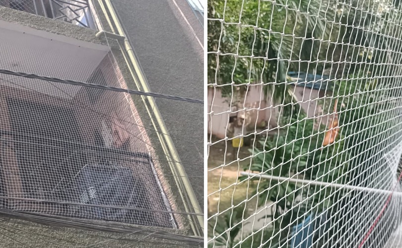 Maintenance and Cleaning of Anti-Bird Nets